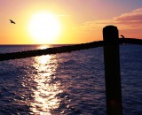 Chasing the sun