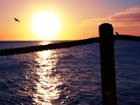 Chasing the sun