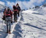 To the top