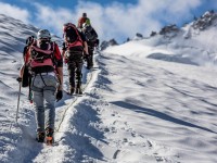 To the top