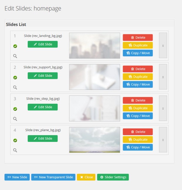 Settings for each slider in the Revolution Slider